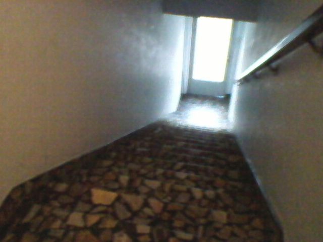 place photo 31