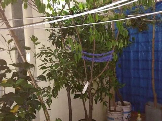 place photo 30