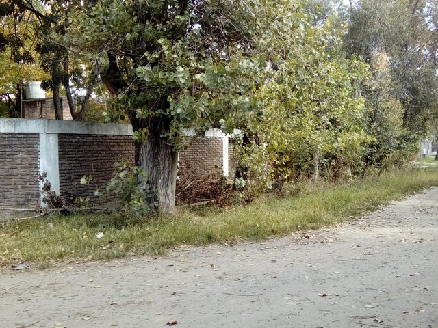 place photo 16
