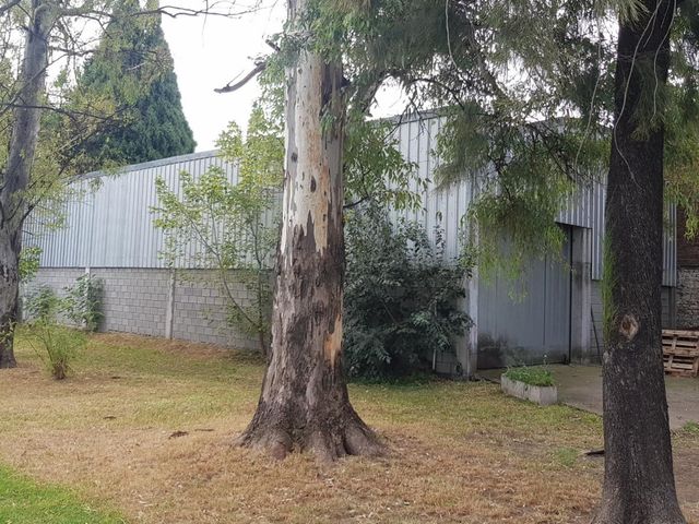 place photo 31