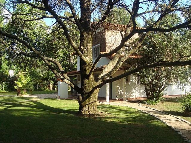 place photo 29