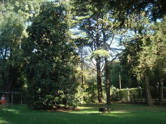 place photo 13