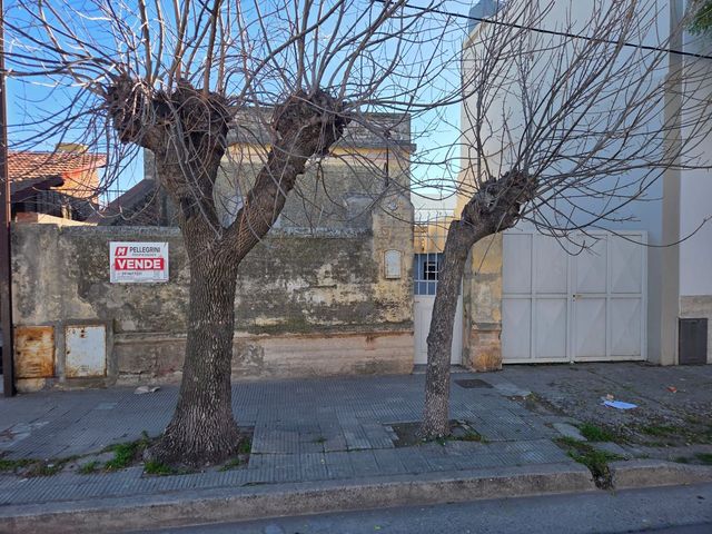 place photo 16