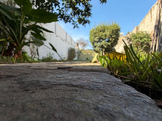 place photo 44