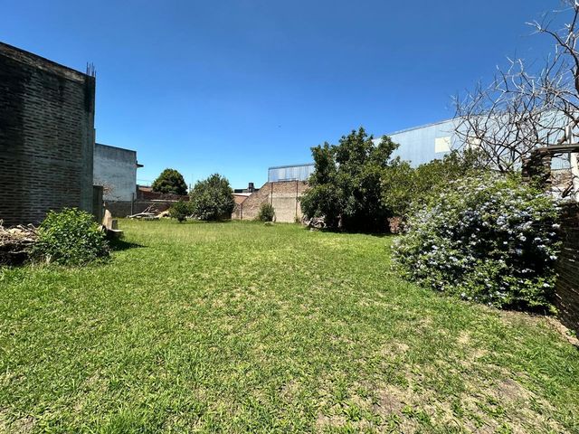 place photo 8