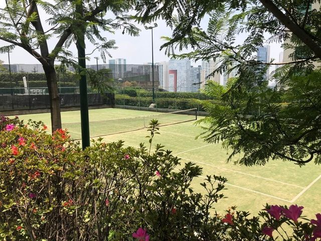place photo 16