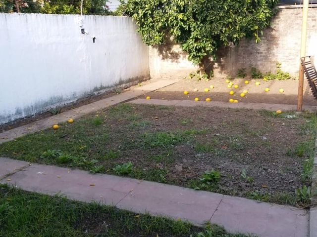 place photo 14