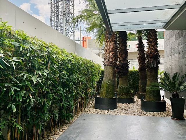 place photo 37
