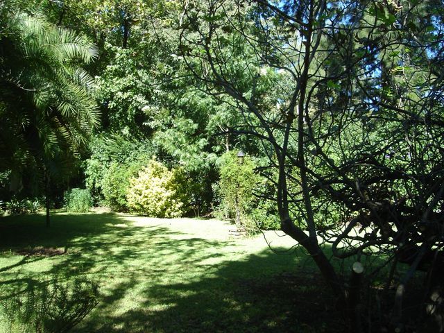 place photo 20