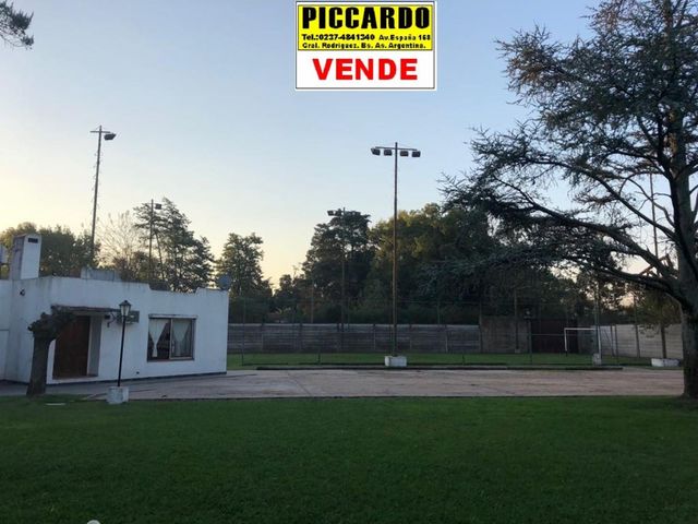 place photo 20