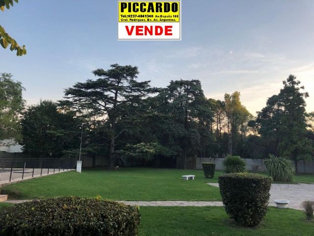 place photo 17