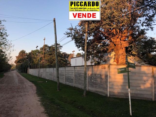 place photo 28