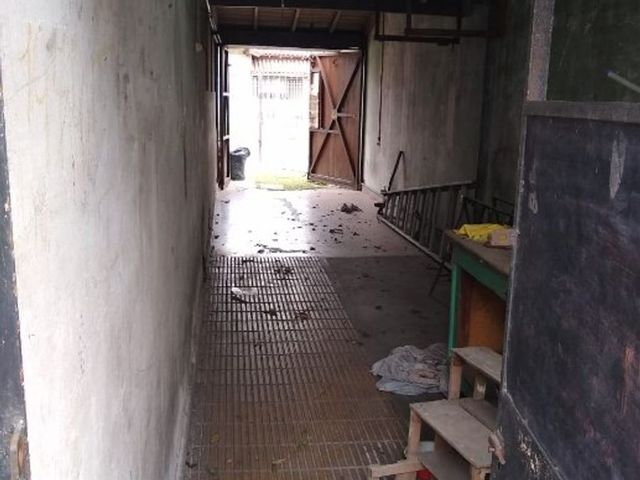 place photo 25
