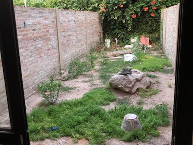 place photo 26