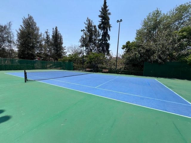 place photo 32