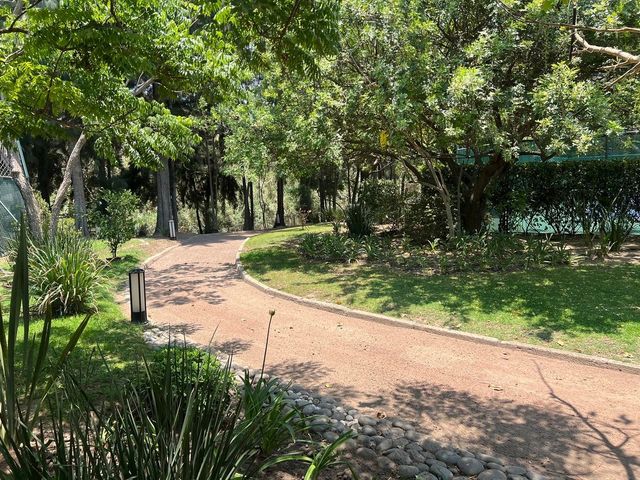 place photo 34