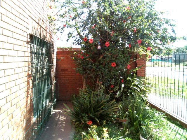 place photo 31