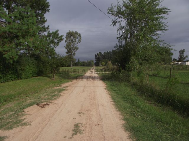 place photo 18