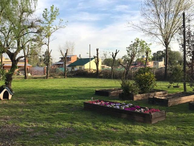 place photo 18