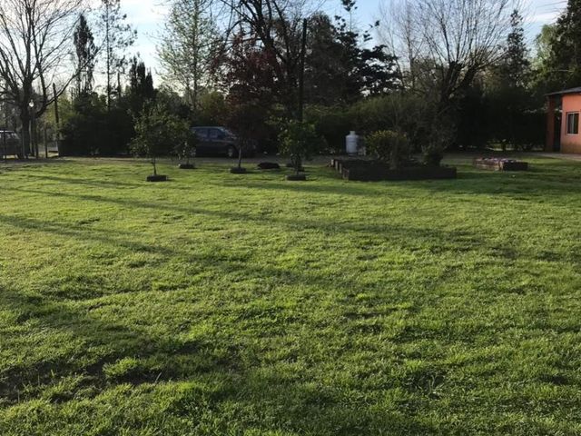 place photo 17