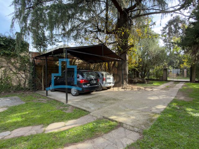 place photo 39