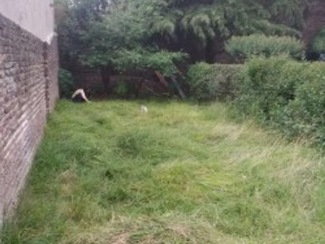 place photo 24
