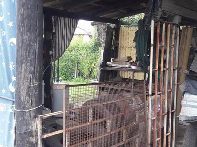 place photo 15