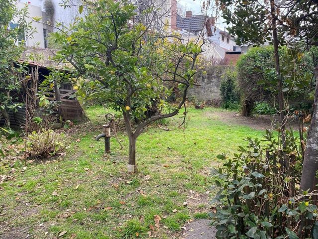 place photo 20
