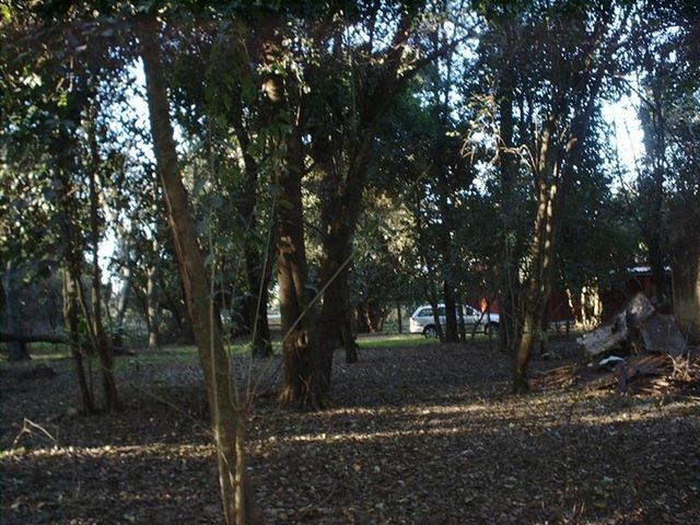 place photo 15