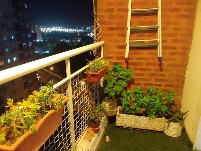 place photo 29