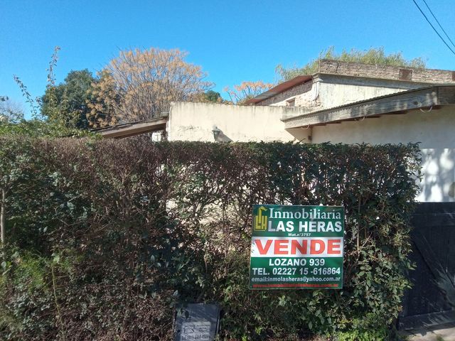 place photo 12