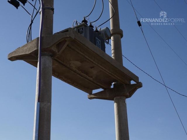 place photo 26