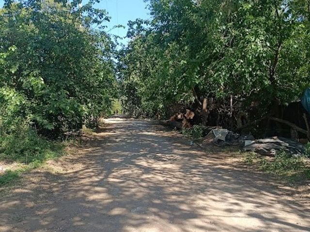 place photo 21