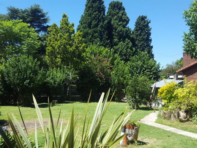 place photo 12