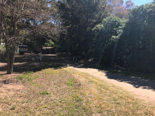place photo 18