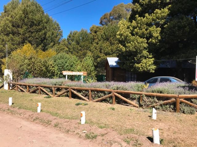 place photo 9