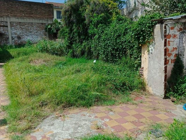place photo 14