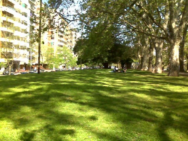 place photo 19