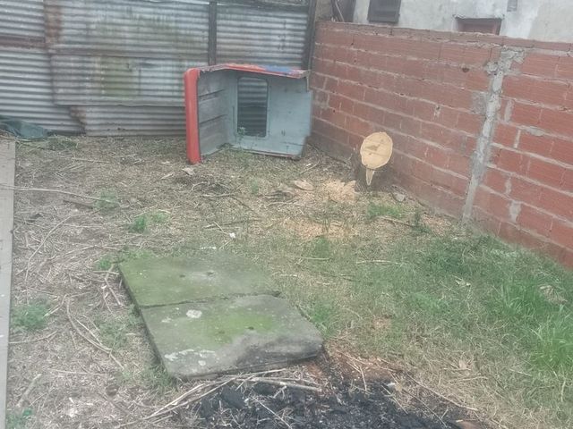 place photo 18