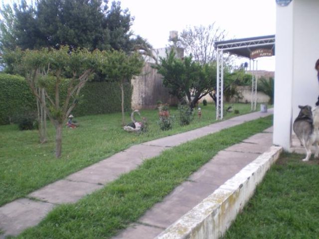 place photo 17