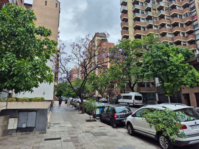place photo 31