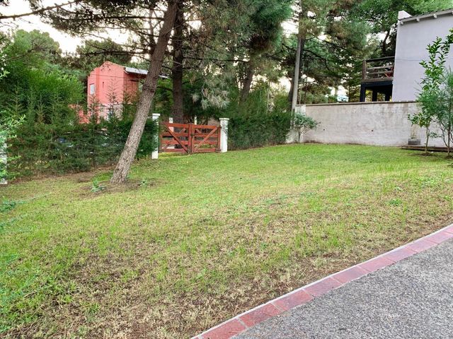 place photo 37