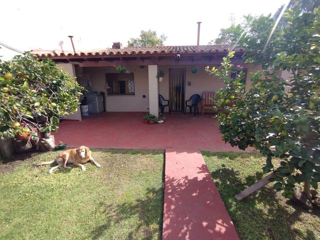 place photo 38