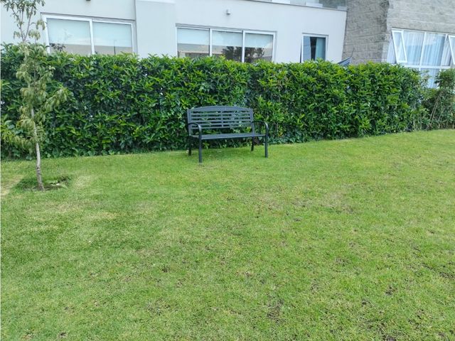 place photo 31