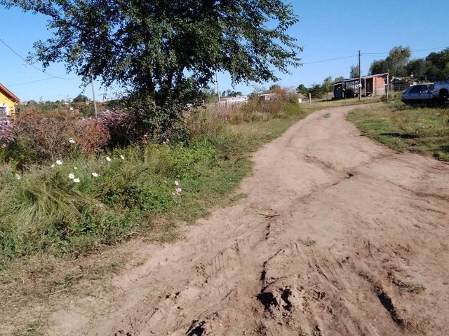 place photo 14