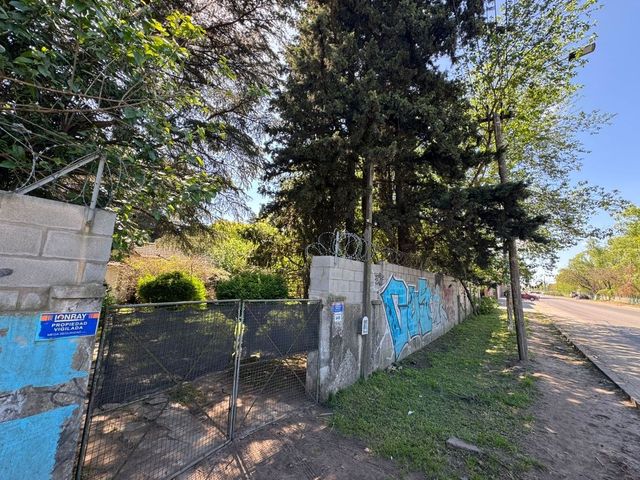 place photo 25