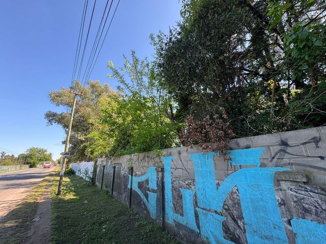 place photo 27