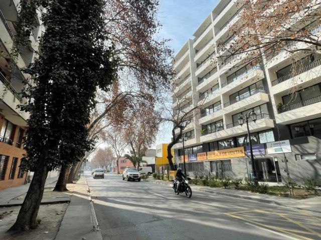 place photo 15