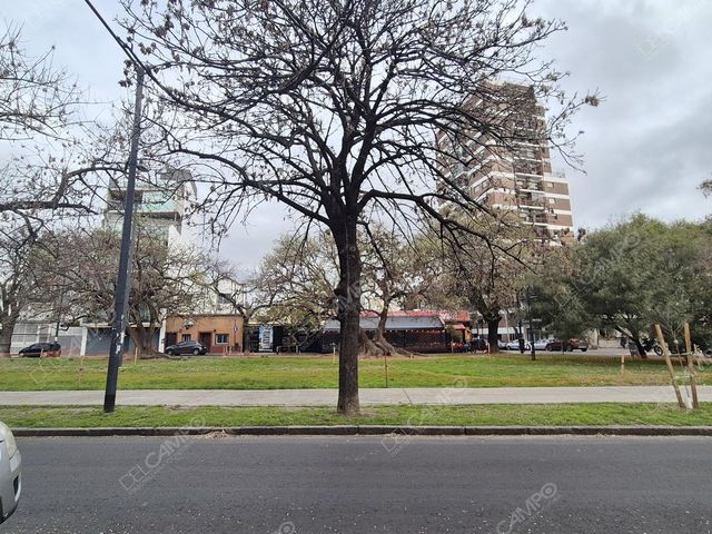 place photo 35