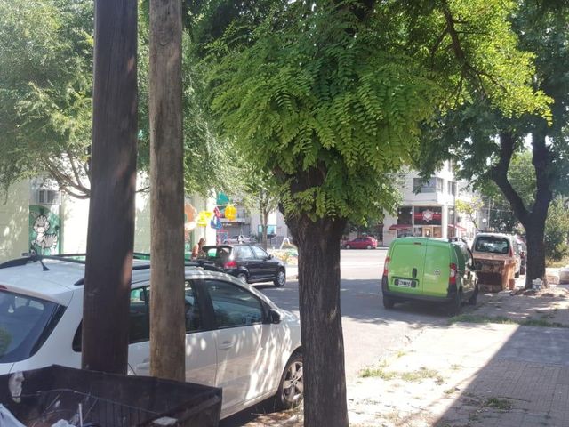place photo 14